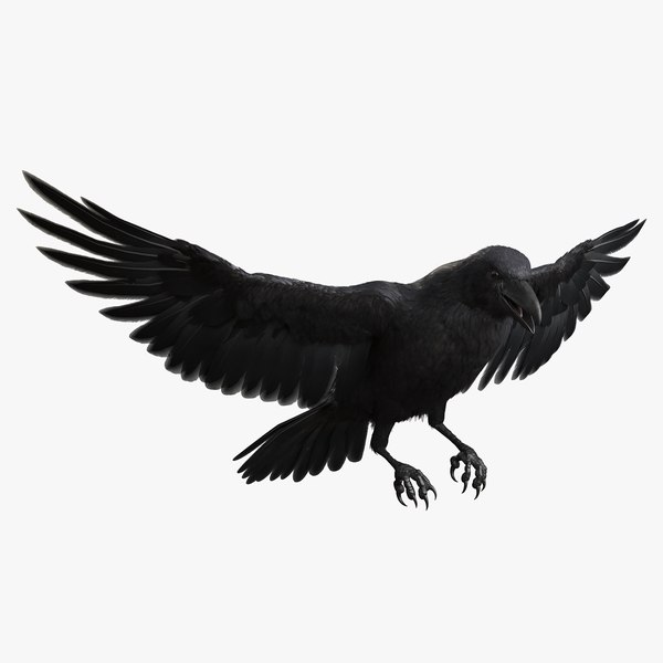 Raven 3d Models For Download 