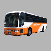 Airport Limousine Bus