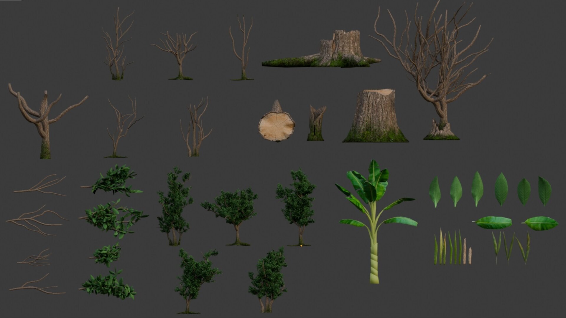 Grass Tree Leaf 3D https://p.turbosquid.com/ts-thumb/NY/4f7xDI/7V/render/jpg/1721316983/1920x1080/fit_q87/0893df6be06e199b8761ef6682c1ed2d7906c324/render.jpg