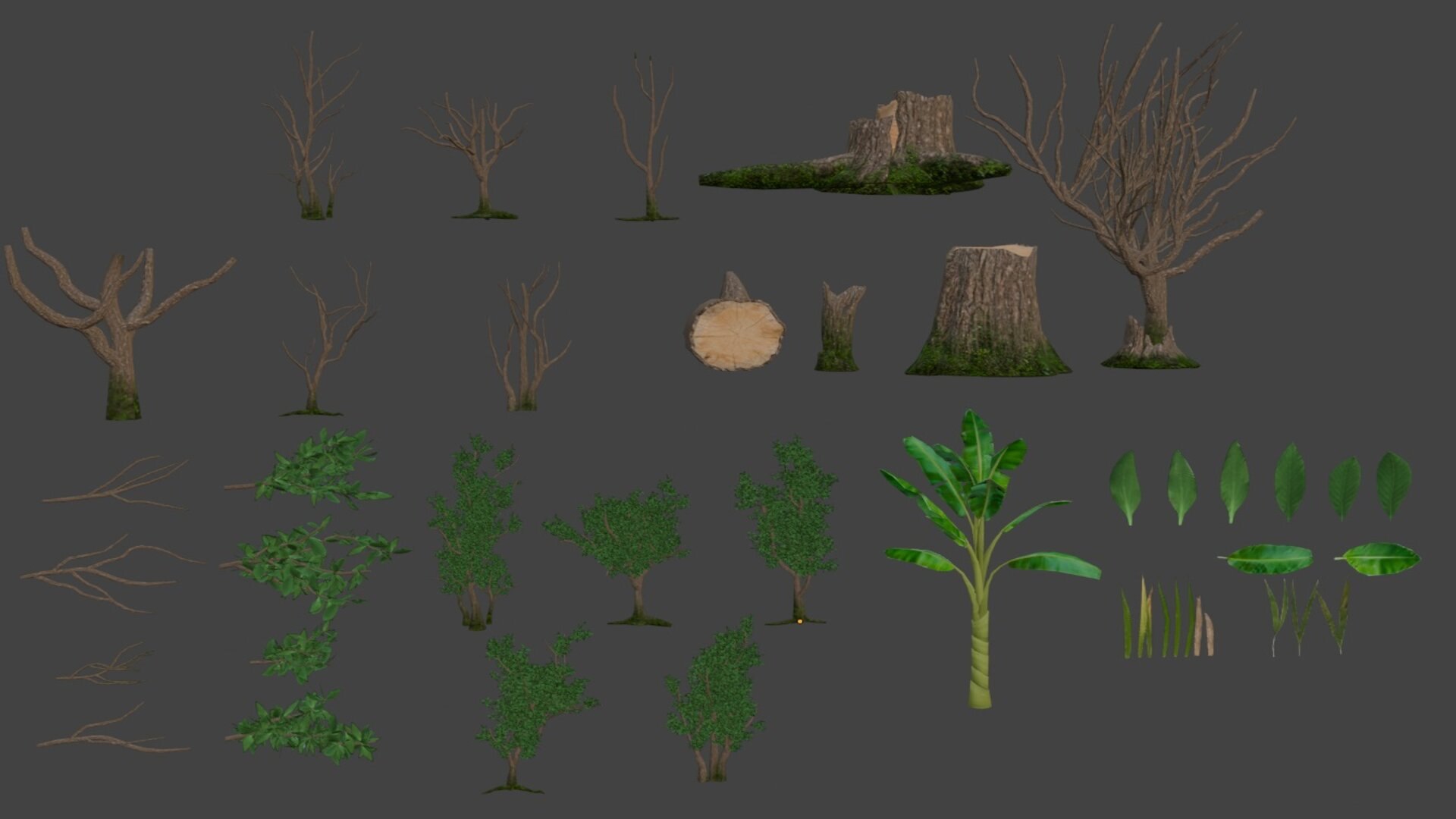 Grass Tree Leaf 3D https://p.turbosquid.com/ts-thumb/NY/4f7xDI/IB/3/jpg/1721316808/1920x1080/fit_q87/7c9011261e8a7fceca5a608f54840b5c48cdb728/3.jpg