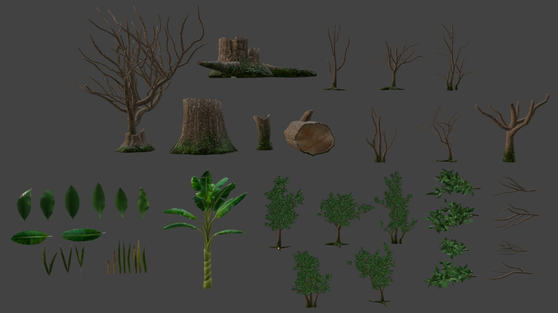 Grass Tree Leaf 3D https://p.turbosquid.com/ts-thumb/NY/4f7xDI/aU/4/jpg/1721316808/1920x1080/fit_q87/38e0f2846ecb4a0d0a2f8954a022c4d1c9c4b4fc/4.jpg