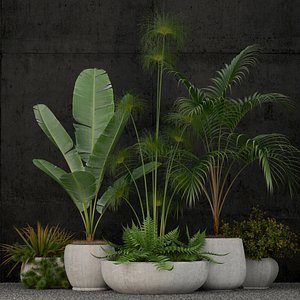 plants 80 model