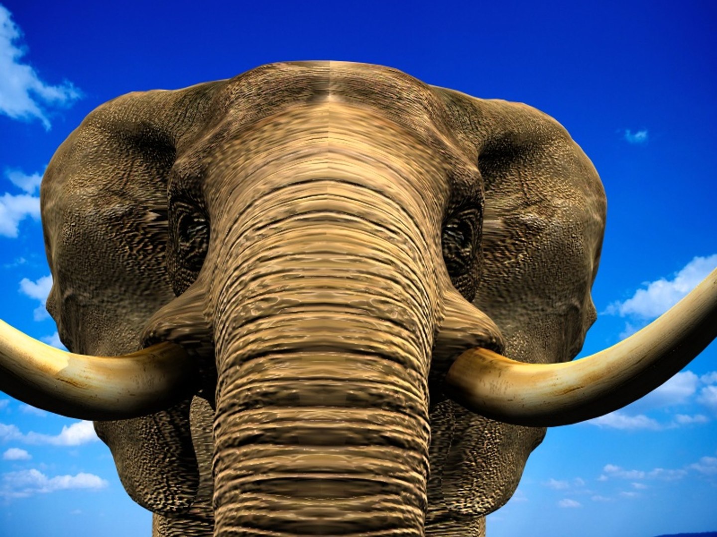 3d african elephant https://p.turbosquid.com/ts-thumb/NY/ckJ0Nj/A6hFnfyu/2/jpg/1448290736/1920x1080/fit_q87/baae24ac13b2ae3489f16268bd70a7aa06a60a4e/2.jpg