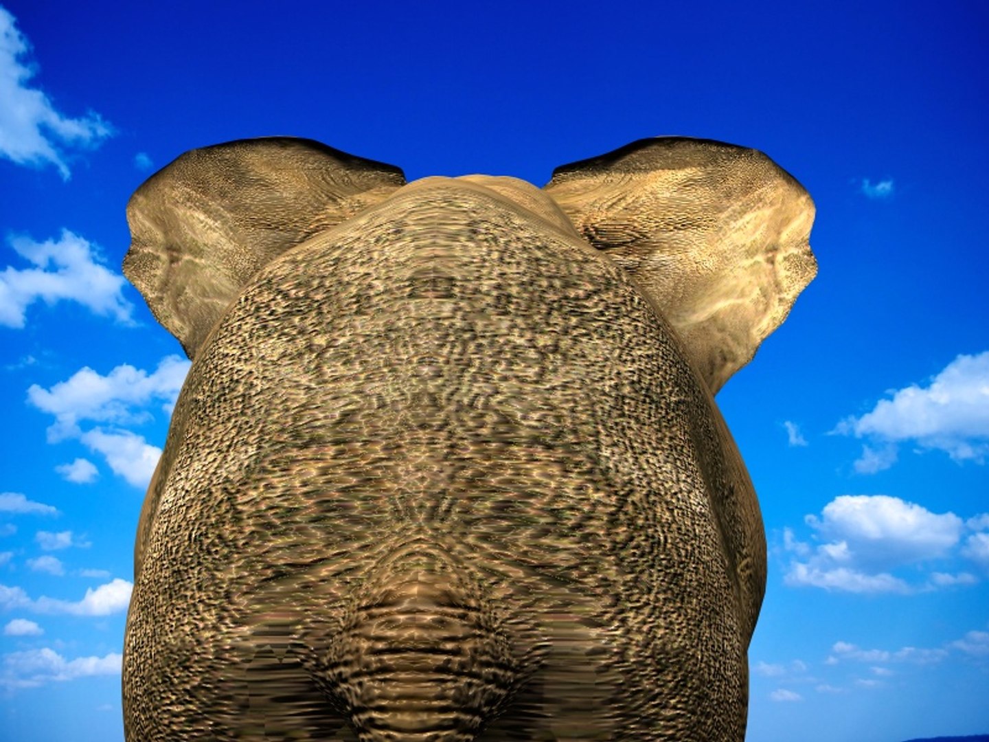 3d african elephant https://p.turbosquid.com/ts-thumb/NY/ckJ0Nj/Y9ieqJ9S/5/jpg/1448290736/1920x1080/fit_q87/216bc06f9e92f227f288b02fd660d10354d2a801/5.jpg