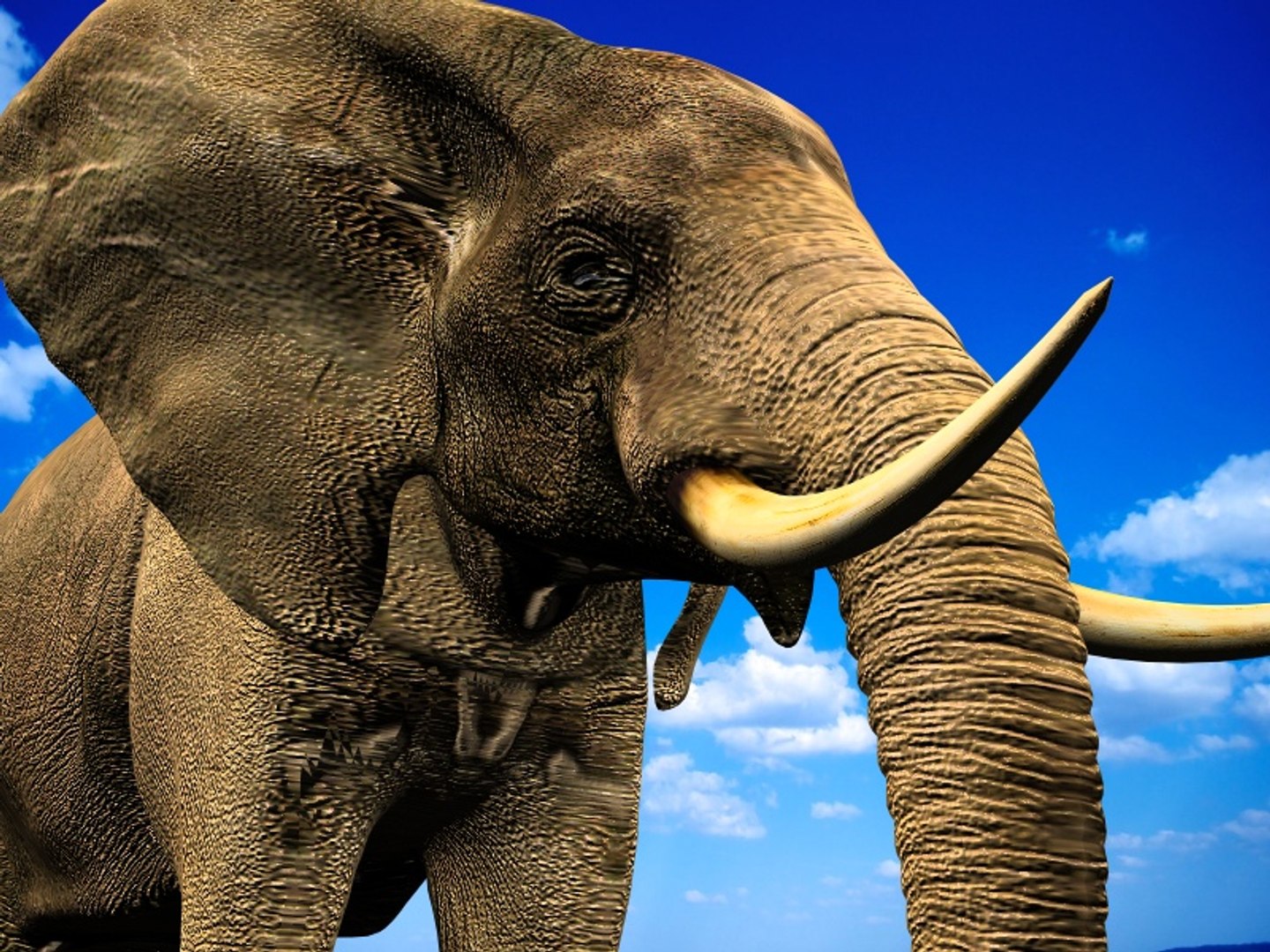 3d african elephant https://p.turbosquid.com/ts-thumb/NY/ckJ0Nj/eNs5dGTL/3/jpg/1448290736/1920x1080/fit_q87/fc347897d5338cb21ade012b04bfaf602e90f55f/3.jpg