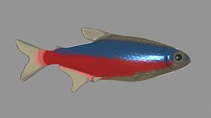 neon 3D model