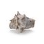 Shell 03 - Low and High Poly Versions