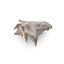Shell 03 - Low and High Poly Versions