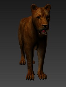 lioness lion 3d model