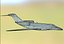 business jet cessna 750 3D model