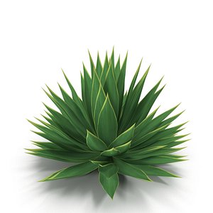 agave plant 3d max