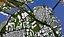 Boston City