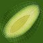 avocado slice 3D model