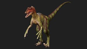 Velociraptor
