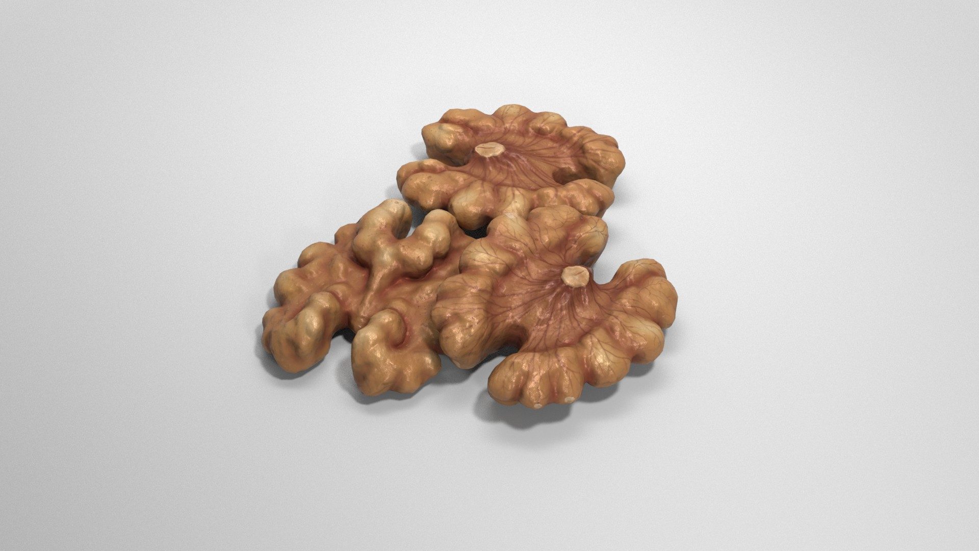 3D Walnut Kernel - TurboSquid 2009688