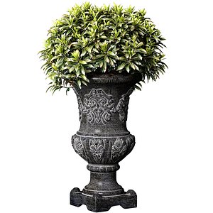 Decorative tree plant shrub classic flower vase planter vase urn 3D model
