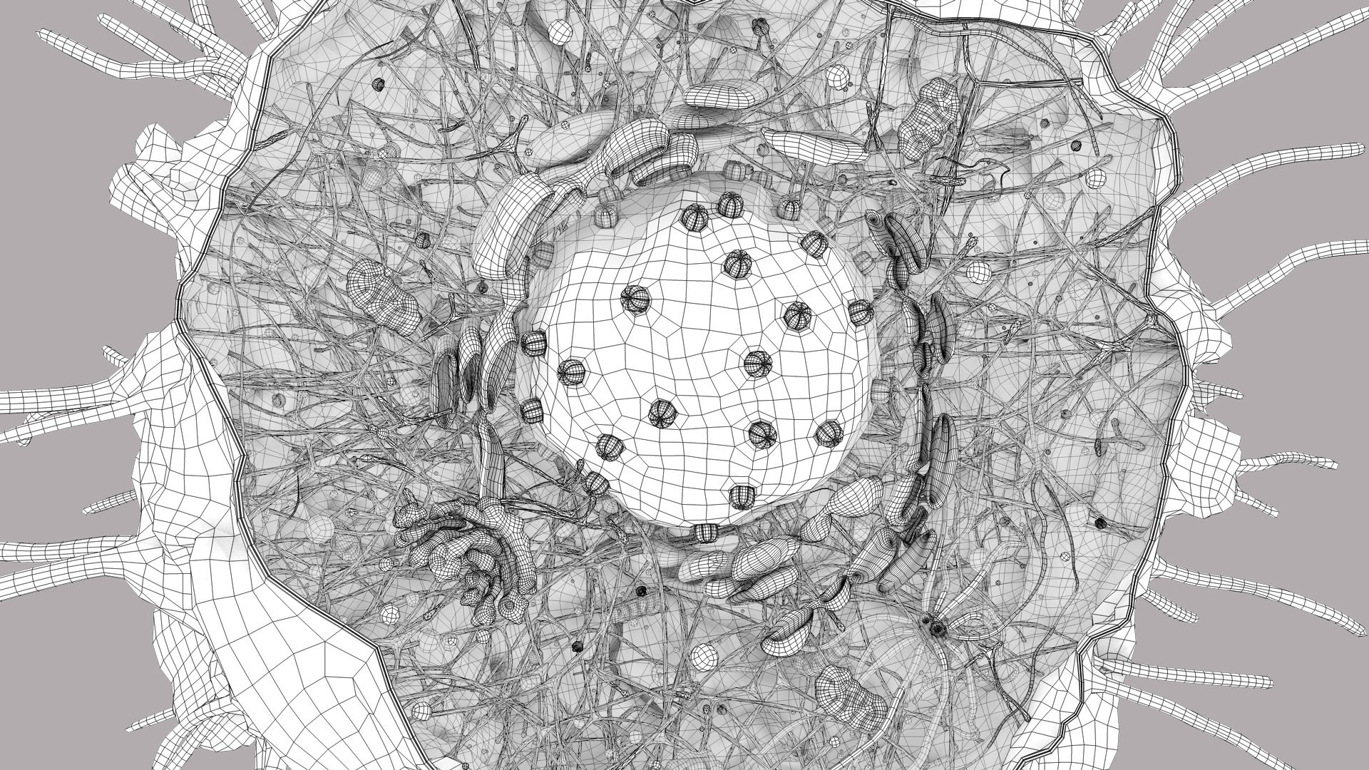 3D Human  Immune Cell model https://p.turbosquid.com/ts-thumb/NZ/GqftKy/3h/dcell_out__0010/jpg/1771581853/1920x1080/fit_q87/51f30e0d6d9fcdb17df3f2e7e1f4e6773fb24039/dcell_out__0010.jpg