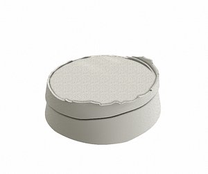3D model Trunk