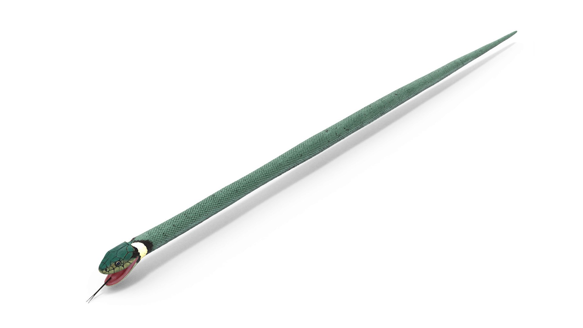 Eurasian Grass Snake Green 3D model preview