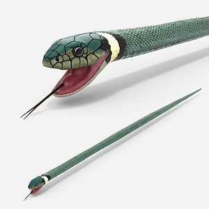 3D model Eurasian Grass Snake Green