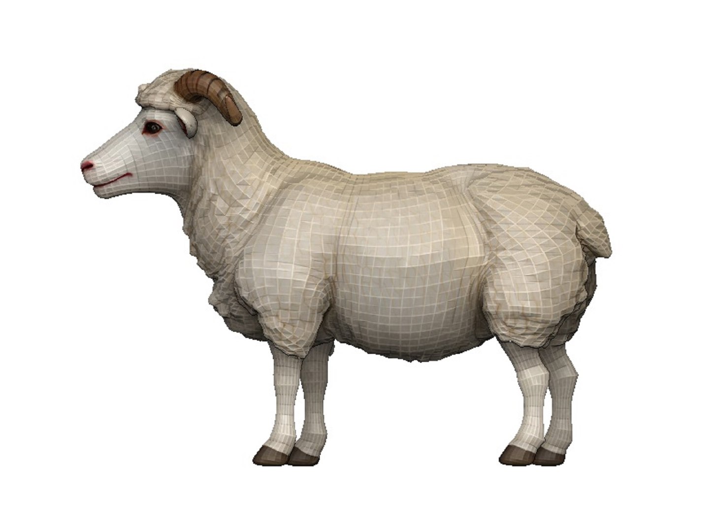 Sheep 3D Model - TurboSquid 2435295