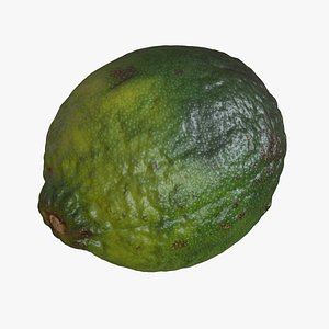 lime fruit food 3D model