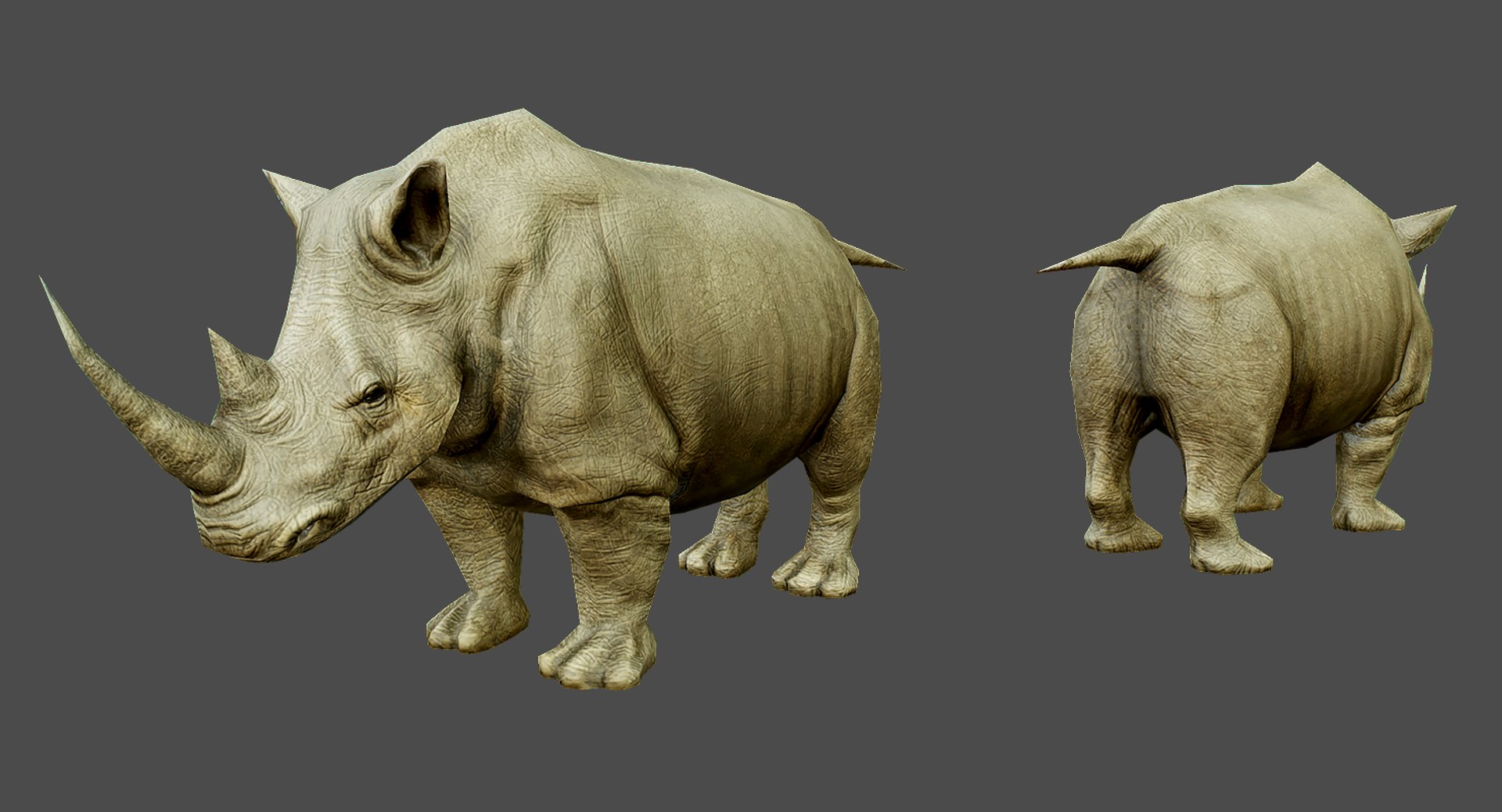 Realistic Rhino 3d Model