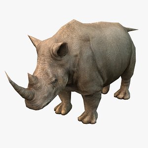 realistic rhino 3d model