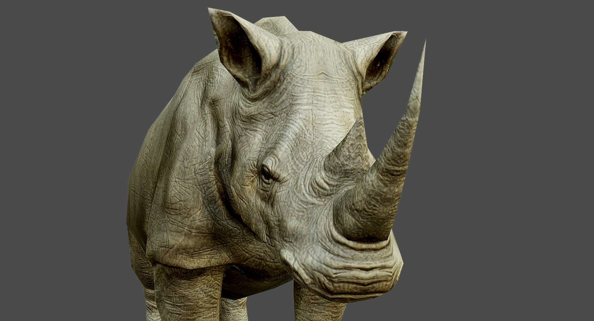 Realistic Rhino 3d Model