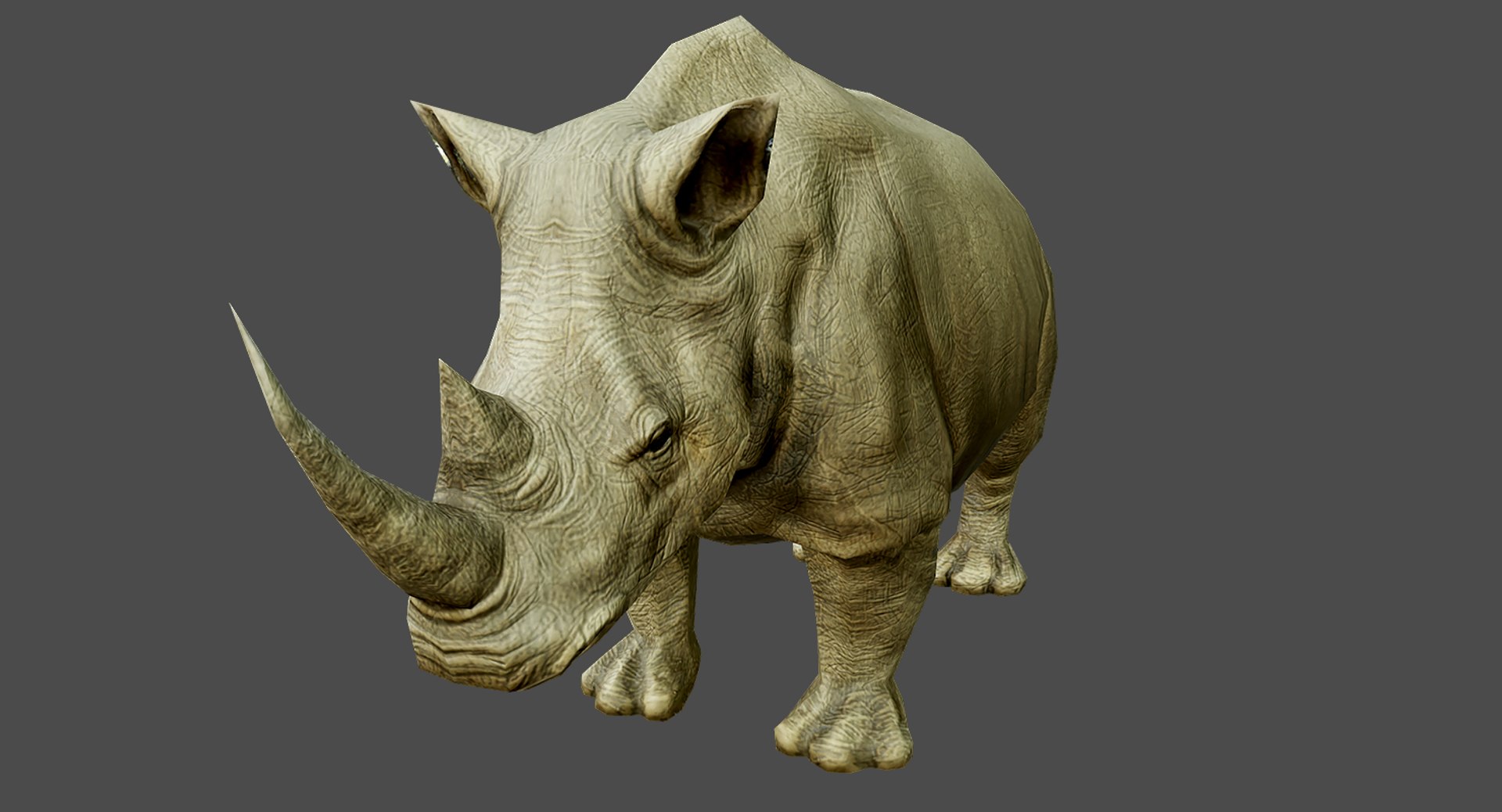 Realistic Rhino 3d Model