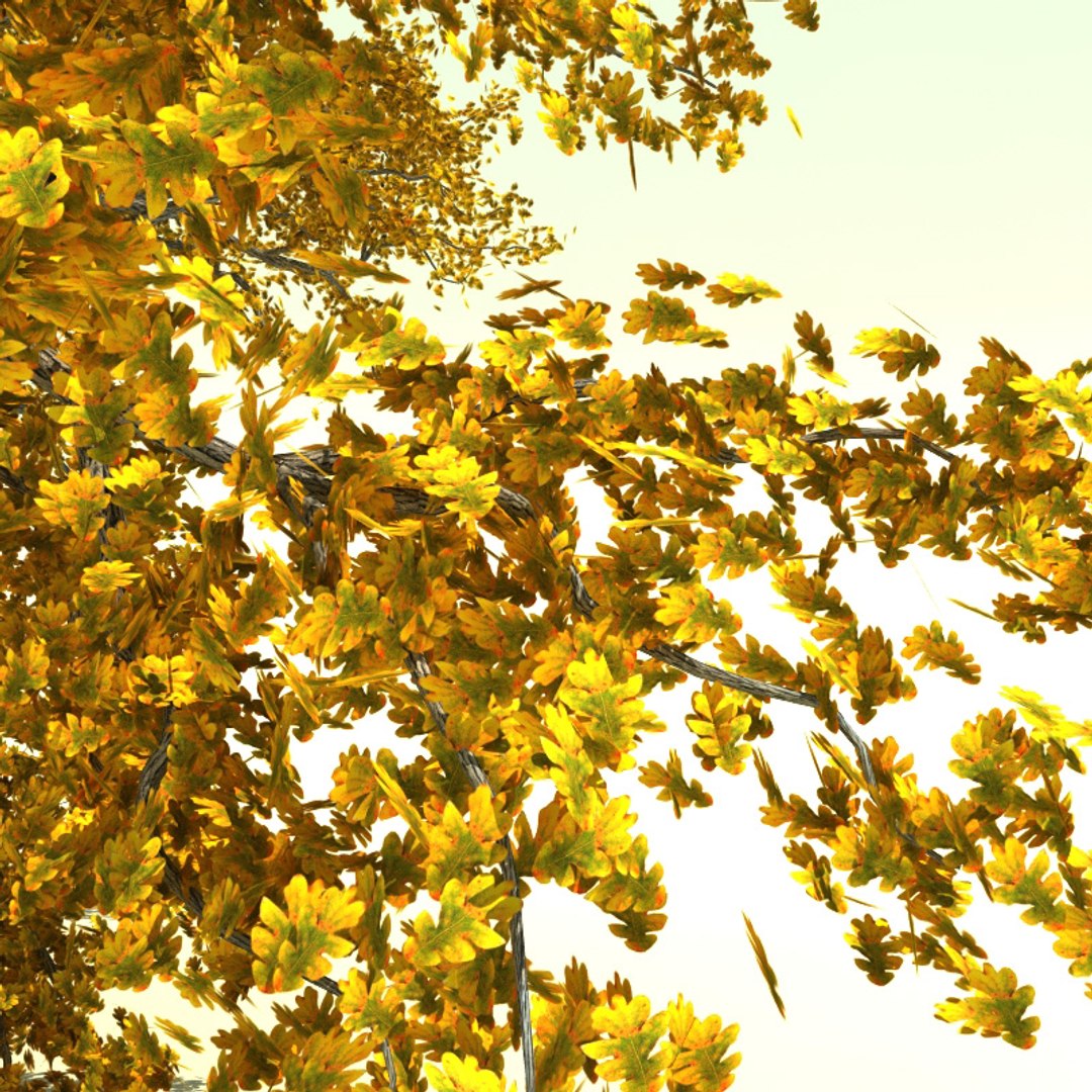3d quercus garyana oregon white model https://p.turbosquid.com/ts-thumb/NZ/ruwmdW/HiMTQSBp/quercus_garryana_3/jpg/1234967213/1920x1080/fit_q87/de3d6d88190ffe7d039c68728a60347540a3f886/quercus_garryana_3.jpg