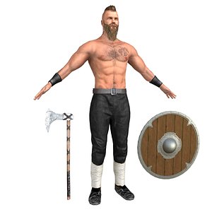 3D viking 3