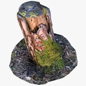 3d realistic pine stump