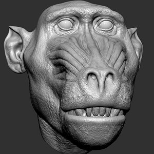 Mandrill VFX Head model