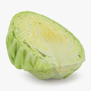 3D Half Cabbage