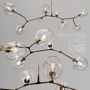 branching bubble 8 lindsey 3D