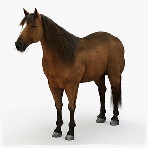 horse brown 3D model