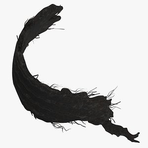 3D Tire Section 03 model