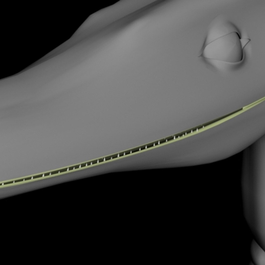 Compy 3d Model