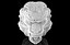 Monkey King ring