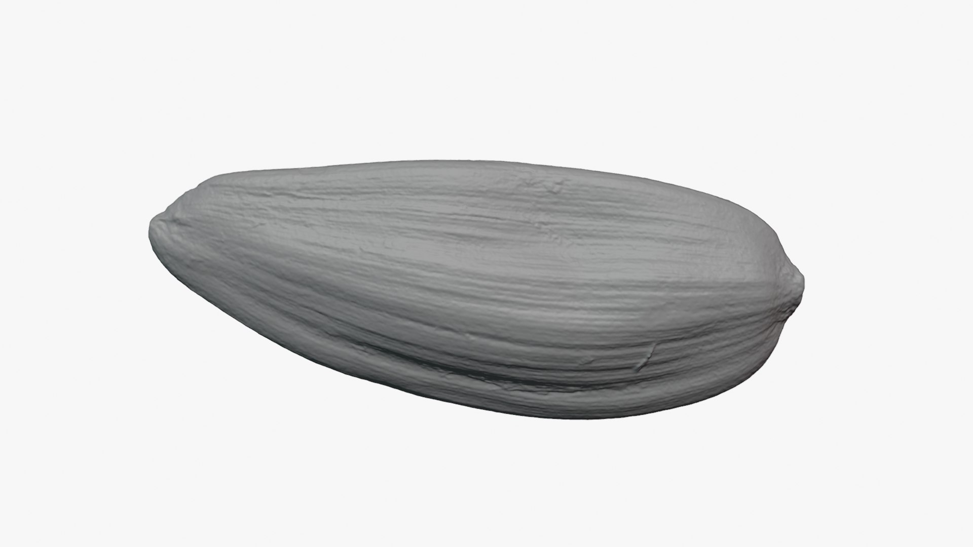 3D Sunflower Seed 01 - Raw Scan https://p.turbosquid.com/ts-thumb/Na/SlW81b/VL/sunflowerseed01_0012b/png/1764575194/1920x1080/fit_q87/c577d856ca092e49904a762680812d5aa9350417/sunflowerseed01_0012b.jpg