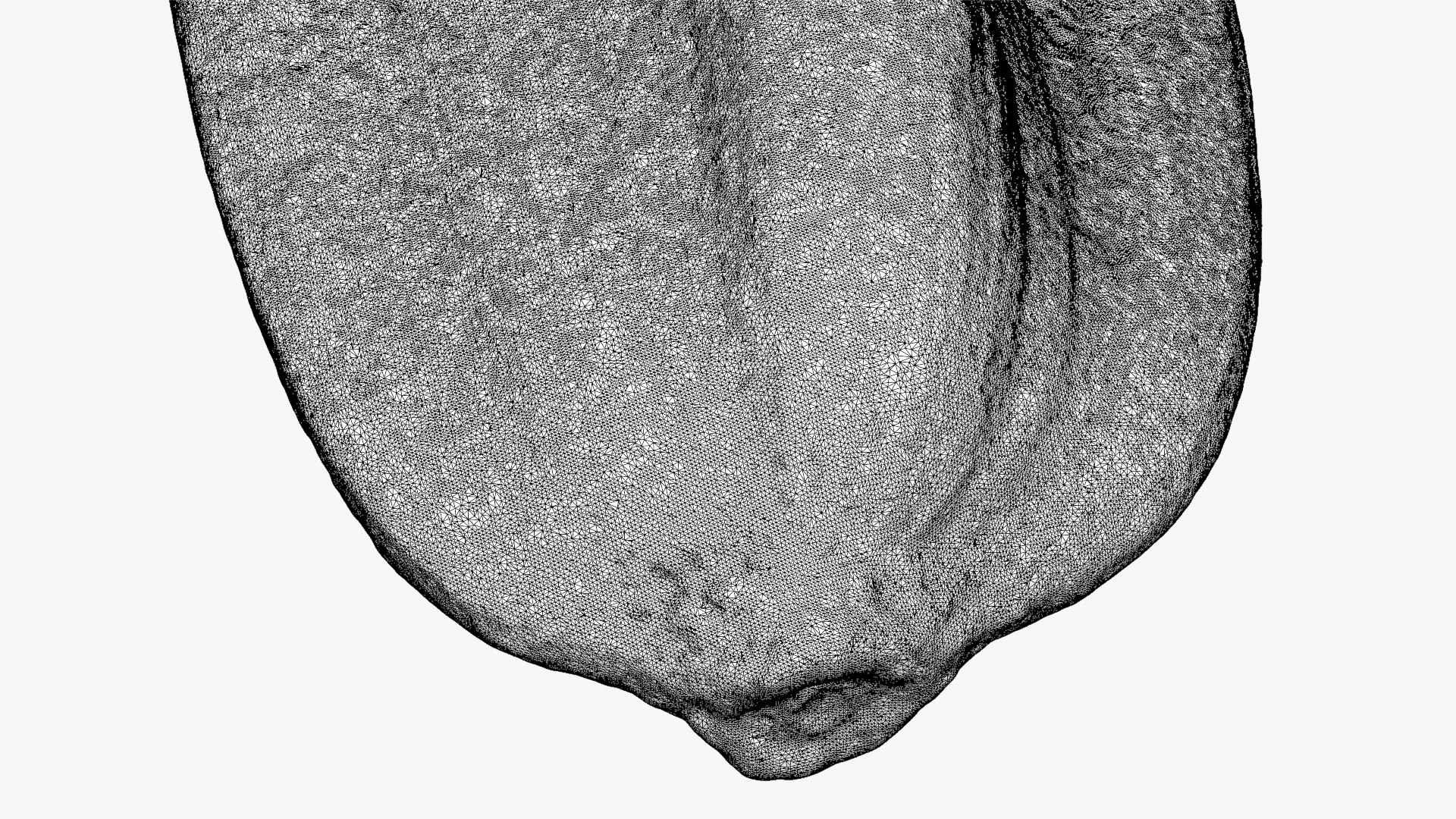 3D Sunflower Seed 01 - Raw Scan https://p.turbosquid.com/ts-thumb/Na/SlW81b/aq/sunflowerseed01_d0013/png/1764575200/1920x1080/fit_q87/feb45f6260529f9510dc46ee909ab31bac160431/sunflowerseed01_d0013.jpg