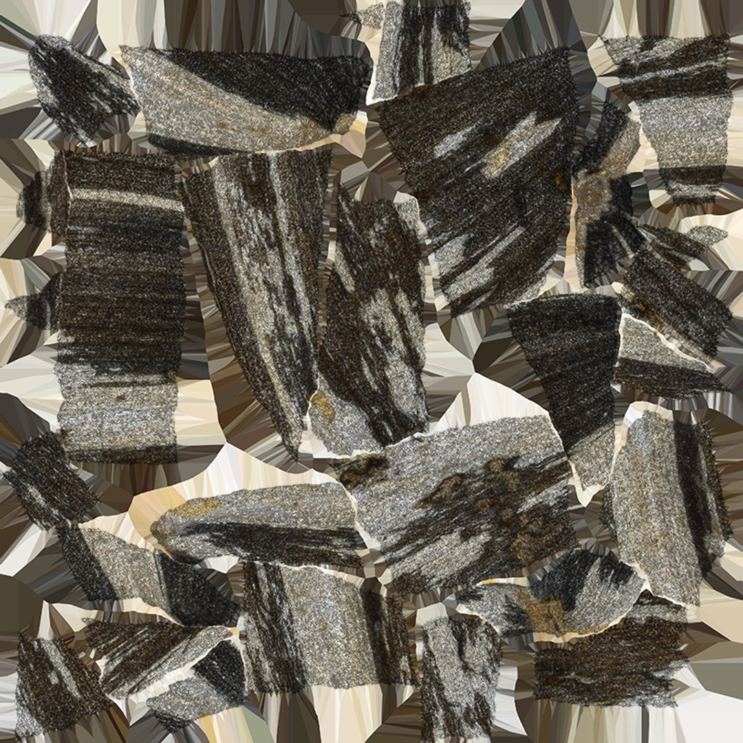3D Sunflower Seed 01 - Raw Scan https://p.turbosquid.com/ts-thumb/Na/SlW81b/qK/sunflowerseed01_e0004/png/1764575200/1920x1080/fit_q87/26863b20c51a4ae69a7600c1e654bfa7e7976cd8/sunflowerseed01_e0004.jpg
