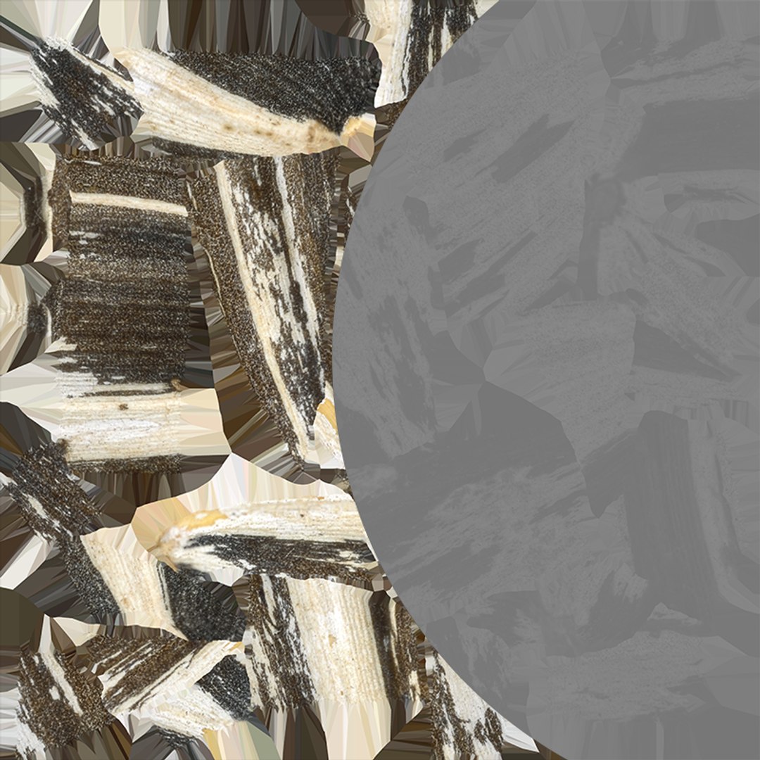 3D Sunflower Seed 01 - Raw Scan https://p.turbosquid.com/ts-thumb/Na/SlW81b/th/sunflowerseed01_e0005/png/1764575200/1920x1080/fit_q87/4075e57774c08fd3800d40f6b2cdf11ed523fb30/sunflowerseed01_e0005.jpg