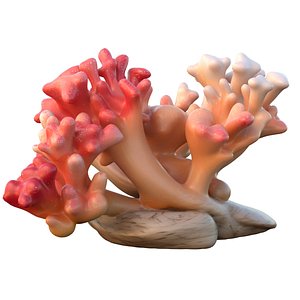 3D Coral reef 23