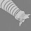Worm