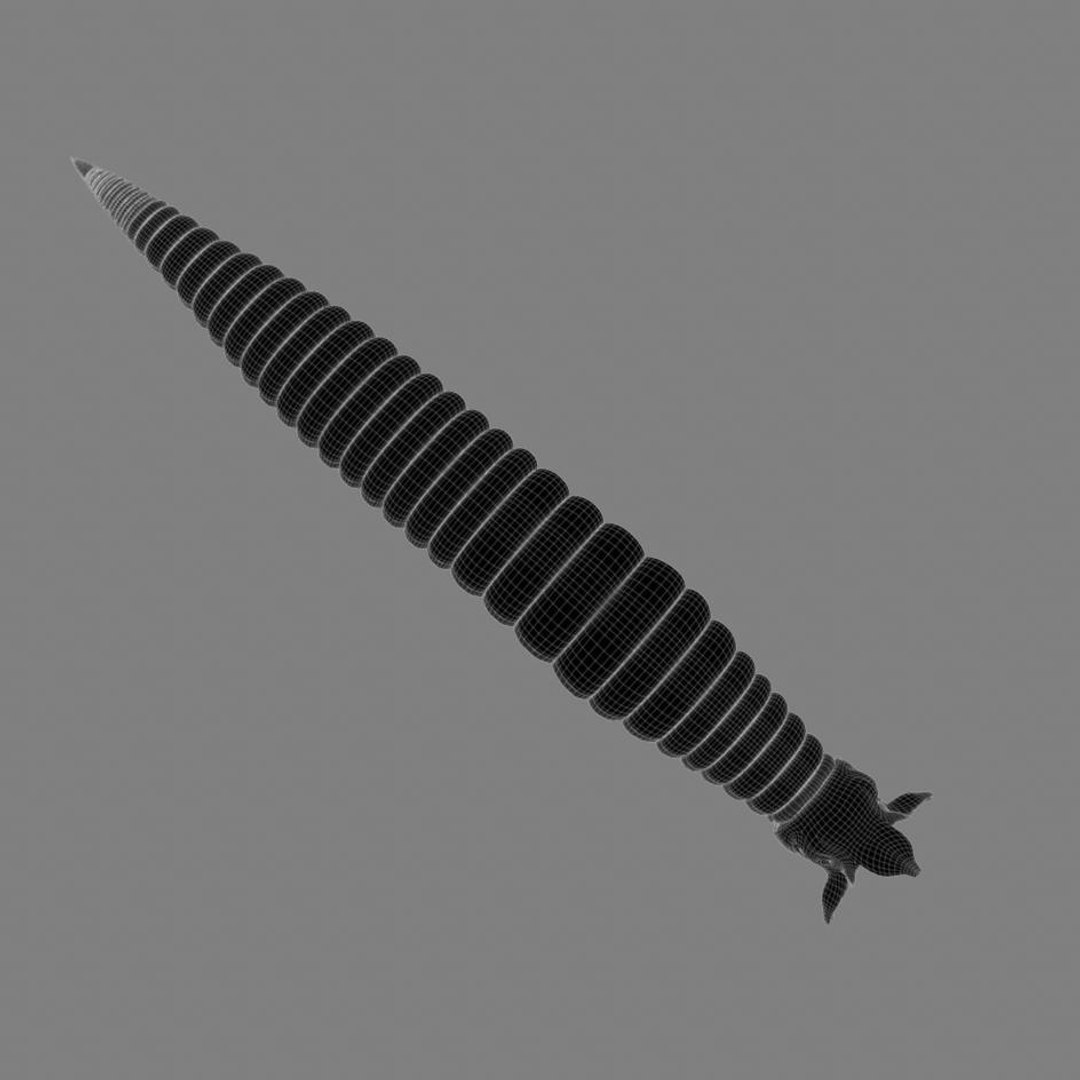 3d worm mouth https://p.turbosquid.com/ts-thumb/Na/ncZrHS/7IDoQExa/camera6line.1/jpg/1328645465/1920x1080/fit_q87/3fa9f8d4f44994d8822fcbf9e52799bbc172914f/camera6line.1.jpg