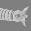 Worm