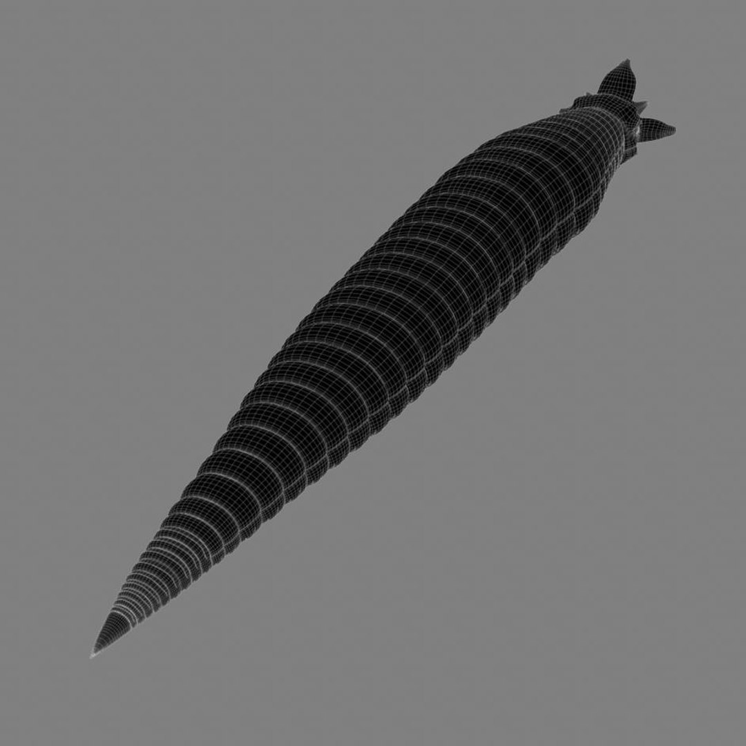3d worm mouth https://p.turbosquid.com/ts-thumb/Na/ncZrHS/KMaFpZsA/camera10line.1/jpg/1328645465/1920x1080/fit_q87/579dfbabd71587e279efc1014c88510bbdea5162/camera10line.1.jpg