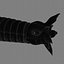 Worm